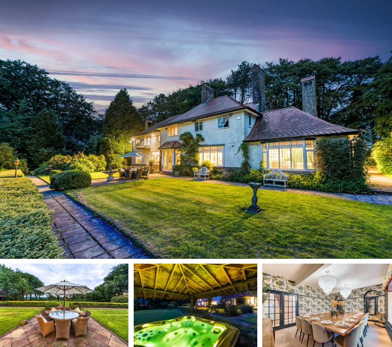 Tall trees – Blog loop template